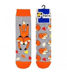 ساقدار روباه نارنجی