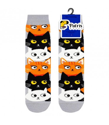 ساقدار سه گربه